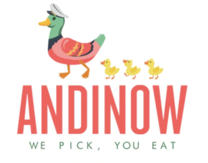 Andinow logo with ducks