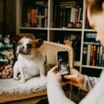 How to Use Instagram Stories to Boost Your Brand